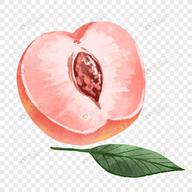 WWW,945av·COM网站APP